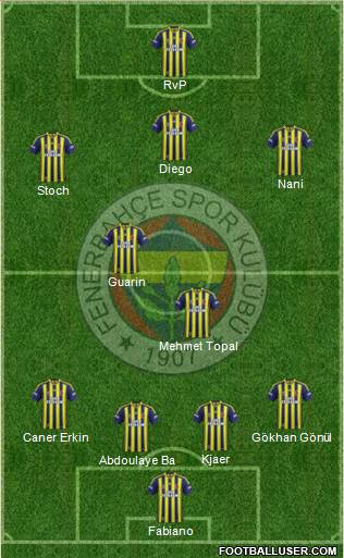 Fenerbahçe SK Formation 2015