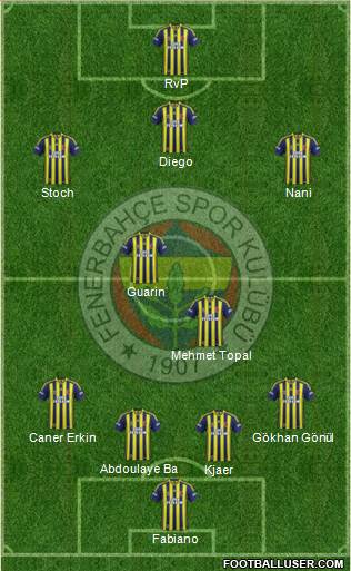Fenerbahçe SK Formation 2015
