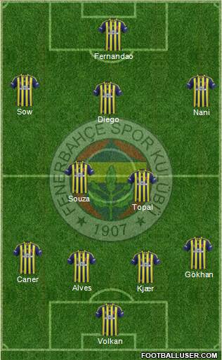 Fenerbahçe SK Formation 2015