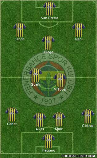 Fenerbahçe SK Formation 2015