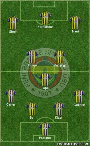 Fenerbahçe SK Formation 2015
