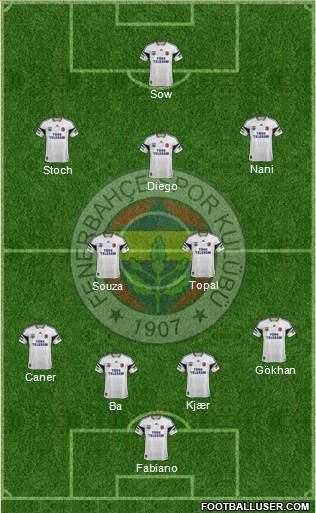Fenerbahçe SK Formation 2015