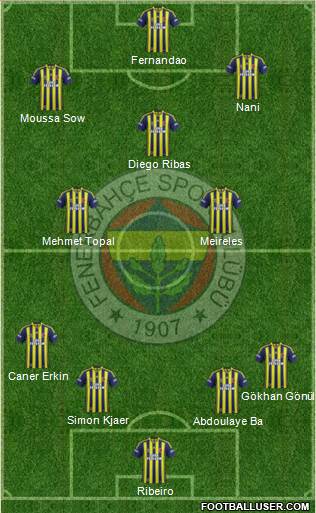 Fenerbahçe SK Formation 2015