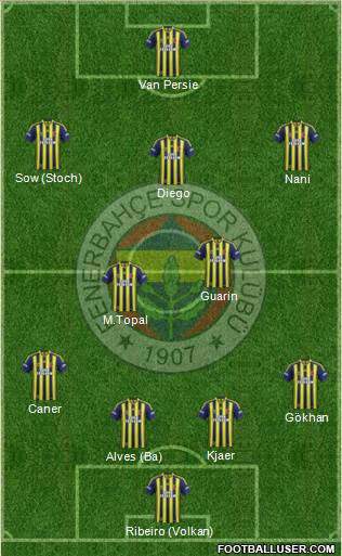 Fenerbahçe SK Formation 2015