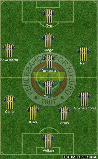 Fenerbahçe SK Formation 2015