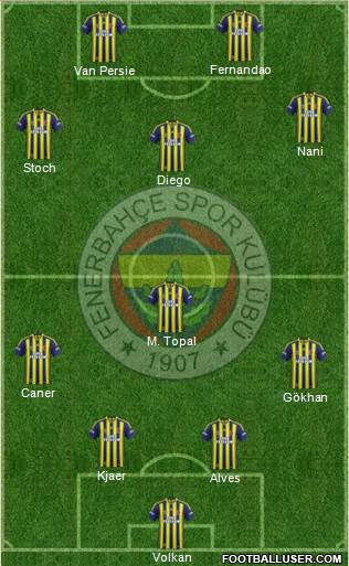 Fenerbahçe SK Formation 2015