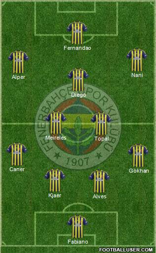 Fenerbahçe SK Formation 2015