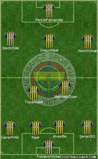 Fenerbahçe SK Formation 2015