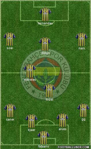 Fenerbahçe SK Formation 2015