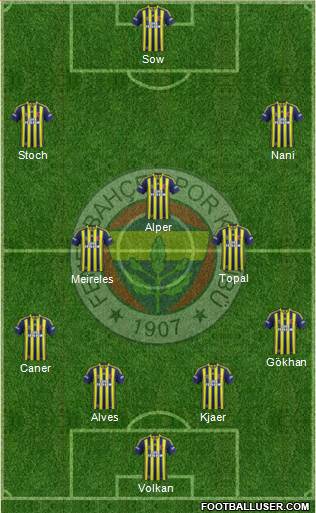Fenerbahçe SK Formation 2015
