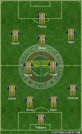 Fenerbahçe SK Formation 2015