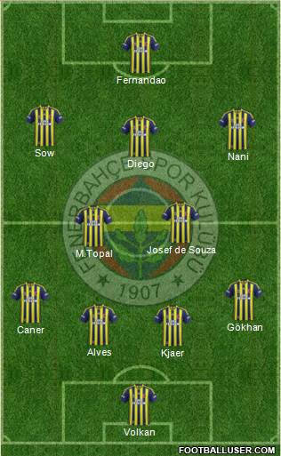 Fenerbahçe SK Formation 2015