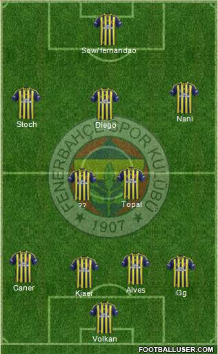 Fenerbahçe SK Formation 2015