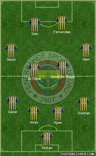 Fenerbahçe SK Formation 2015