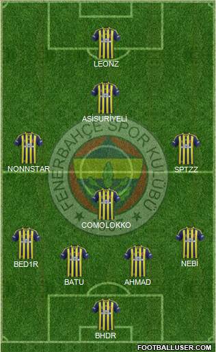 Fenerbahçe SK Formation 2015