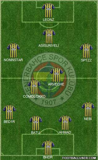 Fenerbahçe SK Formation 2015