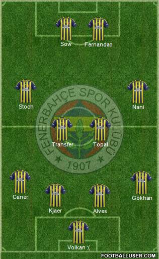 Fenerbahçe SK Formation 2015