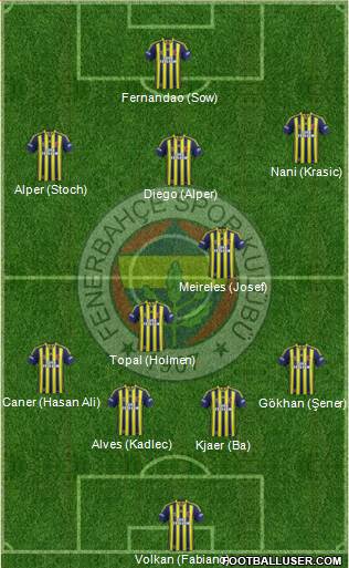 Fenerbahçe SK Formation 2015