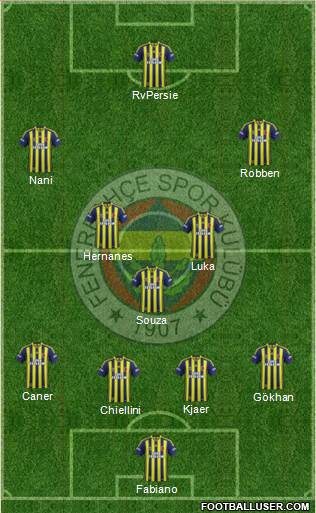 Fenerbahçe SK Formation 2015
