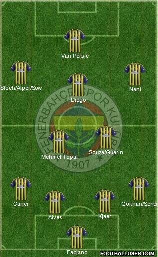 Fenerbahçe SK Formation 2015