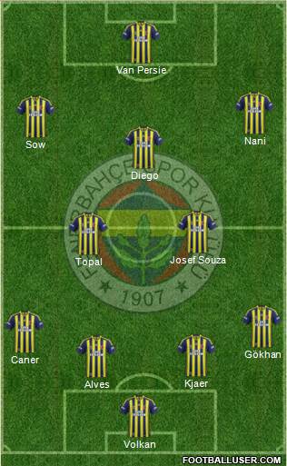 Fenerbahçe SK Formation 2015