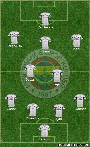 Fenerbahçe SK Formation 2015