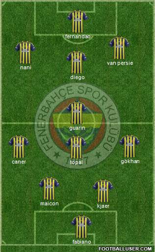Fenerbahçe SK Formation 2015