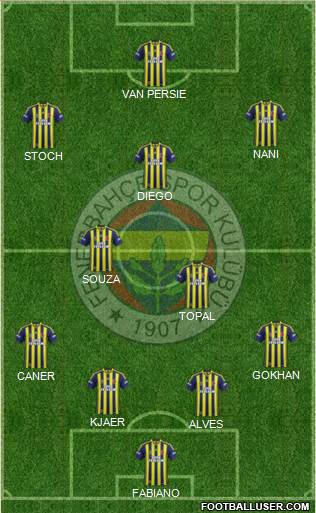 Fenerbahçe SK Formation 2015