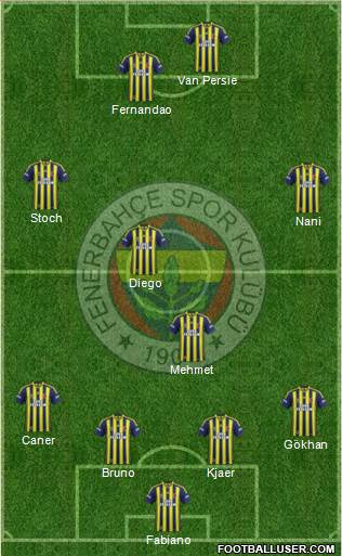 Fenerbahçe SK Formation 2015