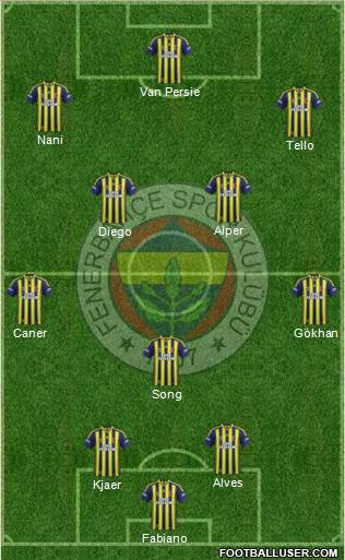 Fenerbahçe SK Formation 2015