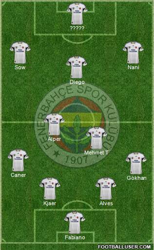 Fenerbahçe SK Formation 2015