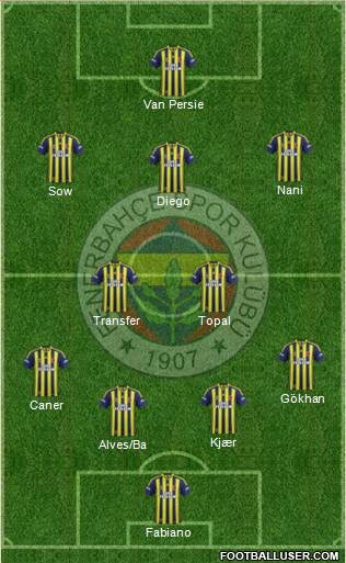 Fenerbahçe SK Formation 2015