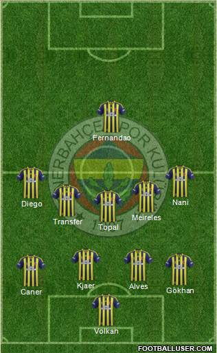 Fenerbahçe SK Formation 2015