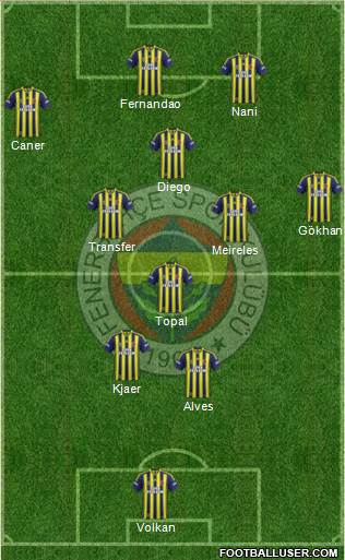 Fenerbahçe SK Formation 2015