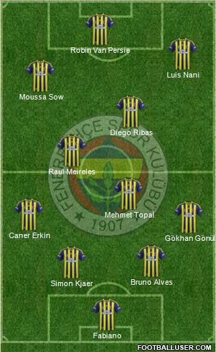 Fenerbahçe SK Formation 2015