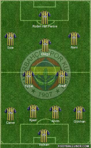 Fenerbahçe SK Formation 2015