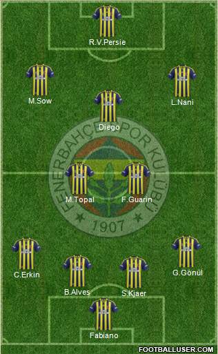Fenerbahçe SK Formation 2015