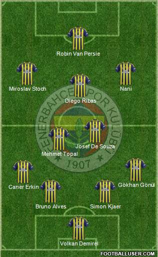Fenerbahçe SK Formation 2015