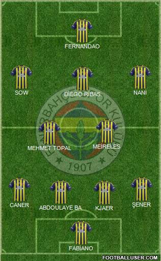 Fenerbahçe SK Formation 2015