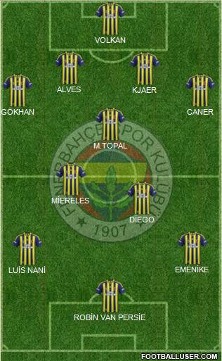 Fenerbahçe SK Formation 2015