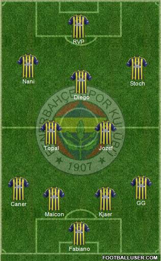 Fenerbahçe SK Formation 2015
