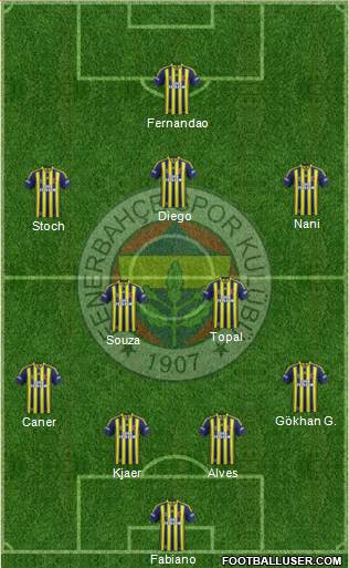Fenerbahçe SK Formation 2015