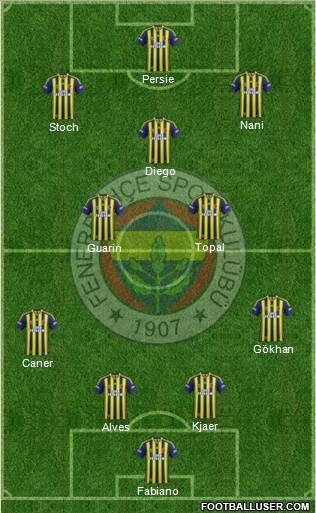 Fenerbahçe SK Formation 2015