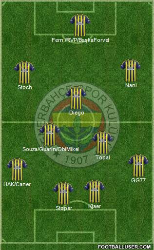 Fenerbahçe SK Formation 2015