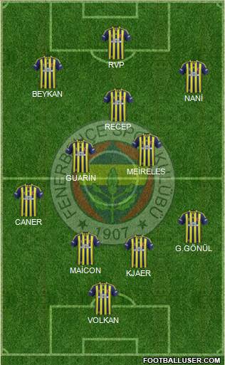 Fenerbahçe SK Formation 2015