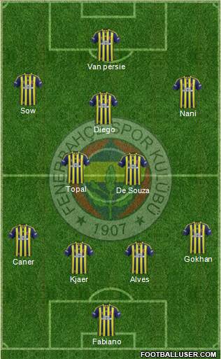 Fenerbahçe SK Formation 2015