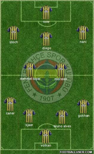 Fenerbahçe SK Formation 2015