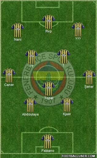 Fenerbahçe SK Formation 2015