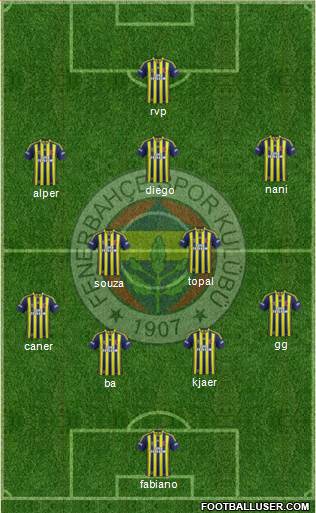 Fenerbahçe SK Formation 2015