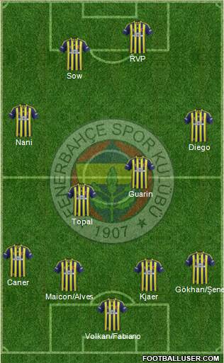 Fenerbahçe SK Formation 2015